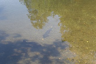 Klicke auf die Grafik für eine vergrößerte Ansicht

Name: 0008_20170719 Radtour Hafnersee Keutschacher See.jpg
Ansichten: 78
Größe: 863,6 KB
ID: 4473925