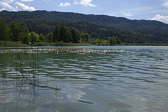 Klicke auf die Grafik für eine vergrößerte Ansicht

Name: 0025_20170719 Radtour Hafnersee Keutschacher See.jpg
Ansichten: 88
Größe: 974,9 KB
ID: 4473934