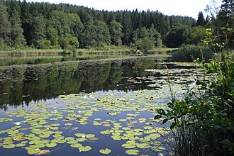 Klicke auf die Grafik für eine vergrößerte Ansicht

Name: 0015_20170805 Radtour Sternberg Saissersee Forstsee.jpg
Ansichten: 84
Größe: 1,25 MB
ID: 4475477