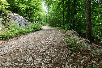 Klicke auf die Grafik für eine vergrößerte Ansicht

Name: 0001_20180510 Radtour Burgruine Federaun.jpg
Ansichten: 108
Größe: 1,19 MB
ID: 4497293