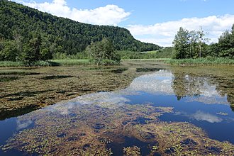 Klicke auf die Grafik für eine vergrößerte Ansicht

Name: 0005_20180707 Radtour Keutschacher Seental.jpg
Ansichten: 83
Größe: 996,1 KB
ID: 4501417