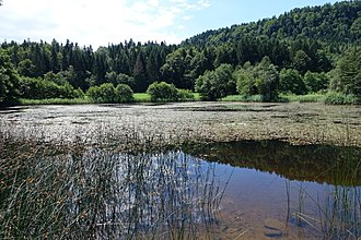 Klicke auf die Grafik für eine vergrößerte Ansicht

Name: 0011_20180707 Radtour Keutschacher Seental.jpg
Ansichten: 84
Größe: 1,01 MB
ID: 4501418