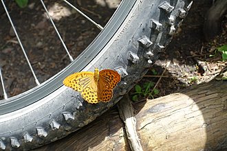 Klicke auf die Grafik für eine vergrößerte Ansicht

Name: 0041_20180707 Radtour Keutschacher Seental.jpg
Ansichten: 90
Größe: 772,5 KB
ID: 4501427