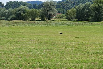 Klicke auf die Grafik für eine vergrößerte Ansicht

Name: 0030_20180730 Radtour Hörzendorf &amp; Liebenfels.jpg
Ansichten: 111
Größe: 1,06 MB
ID: 4503153