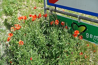 Klicke auf die Grafik fÃÂ¼r eine vergrÃÂ¶ÃÂerte Ansicht  Name: 0003_20190610 Radtour St. Veit (Kraiger See).jpg Ansichten: 0 GrÃÂ¶ÃÂe: 937,6 KB ID: 4540814