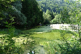 Klicke auf die Grafik für eine vergrößerte Ansicht  Name: 0040_20190628 Radtour Oswaldiberg.jpg Ansichten: 0 Größe: 1,75 MB ID: 4547243