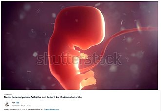 Klicke auf die Grafik für eine vergrößerte Ansicht  Name: embryo shutterstock.jpg Ansichten: 30 Größe: 127,1 KB ID: 4551830