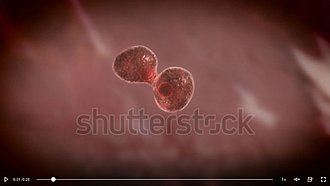 Klicke auf die Grafik für eine vergrößerte Ansicht  Name: zellen 1 shutterstock.jpg Ansichten: 30 Größe: 74,4 KB ID: 4551837