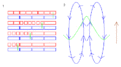 Klicke auf die Grafik für eine vergrößerte Ansicht

Name: Feld1.GIF
Ansichten: 139
Größe: 4,4 KB
ID: 4172961