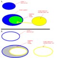 Klicke auf die Grafik für eine vergrößerte Ansicht

Name: Koppelung.GIF
Ansichten: 111
Größe: 8,5 KB
ID: 4173115