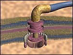 Klicke auf die Grafik für eine vergrößerte Ansicht

Name: bacterial flagellum motor.jpg
Ansichten: 90
Größe: 33,5 KB
ID: 4178789