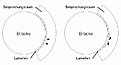 Klicke auf die Grafik für eine vergrößerte Ansicht

Name: Lamelle.jpg
Ansichten: 103
Größe: 26,6 KB
ID: 4212401