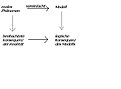 Klicke auf die Grafik für eine vergrößerte Ansicht

Name: charakter eines Modells.JPG
Ansichten: 111
Größe: 15,2 KB
ID: 4246716