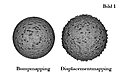 Klicke auf die Grafik für eine vergrößerte Ansicht

Name: Illustration - Bild 1 -Bump vs Displacement Mapping.jpg
Ansichten: 170
Größe: 163,6 KB
ID: 4249047