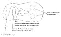 Klicke auf die Grafik für eine vergrößerte Ansicht

Name: Marsgesicht.jpg
Ansichten: 113
Größe: 47,8 KB
ID: 4254848