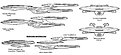 Klicke auf die Grafik für eine vergrößerte Ansicht

Name: Evolution-Klasse (Normal-Taktisch).jpg
Ansichten: 169
Größe: 107,0 KB
ID: 4262614